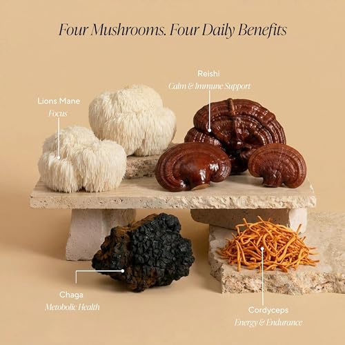 OM Mushrooms SUPERFOODS Creamy Vanilla Chai with Organic Adaptogenic Mushrooms for Energy (2.8 Ounce)