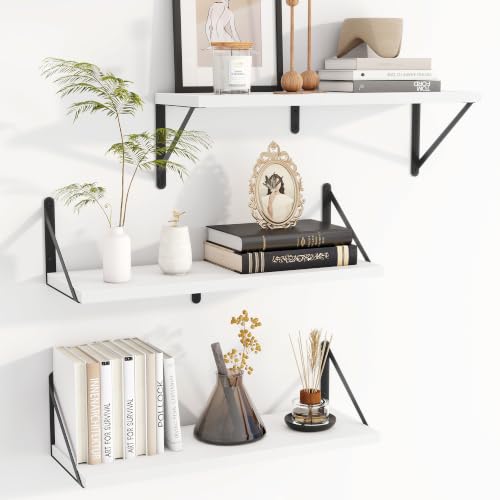 Floating Book Shelves for Wall (3 Count)