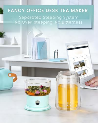 Modern Glass Infuser Teapot