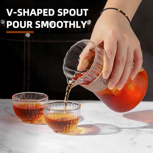 Clear Glass Drip Coffee Maker Set