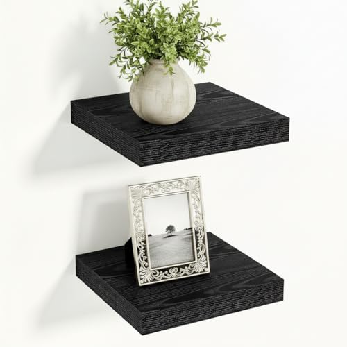 Black Floating Shelves (2 Count)
