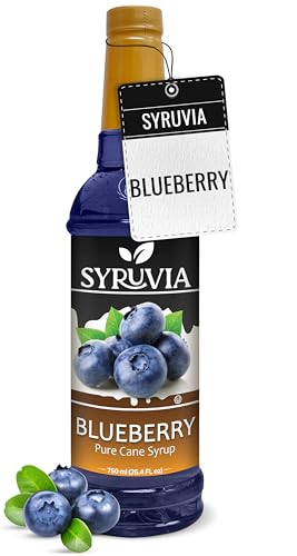 Blueberry Syrup (25.4 Fl Oz)