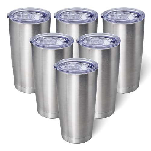 20oz Tumbler with Lid Stainless Steel Tumblers Insulated Mug SS 6P (6 Count)
