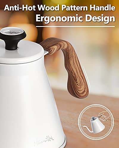 Gooseneck Kettle with Thermometer for Pour Over Coffee and Tea