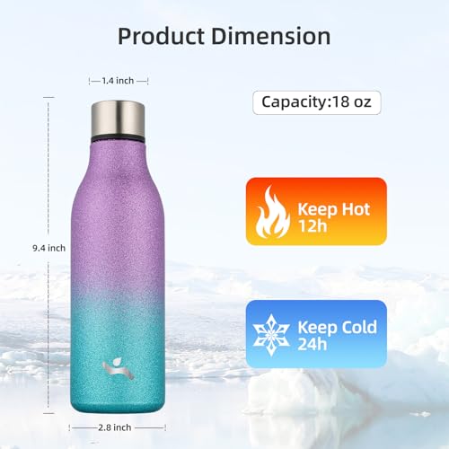 18 oz Insulated Stainless Steel Metal Water Bottle with Strap
