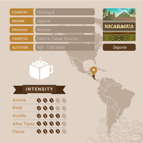 Nicaraguan Coffee (10 Count)