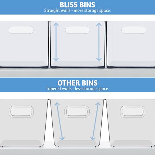 Bliss 10" x 6" Open Clear Pantry Organizer Bin (2 Count)