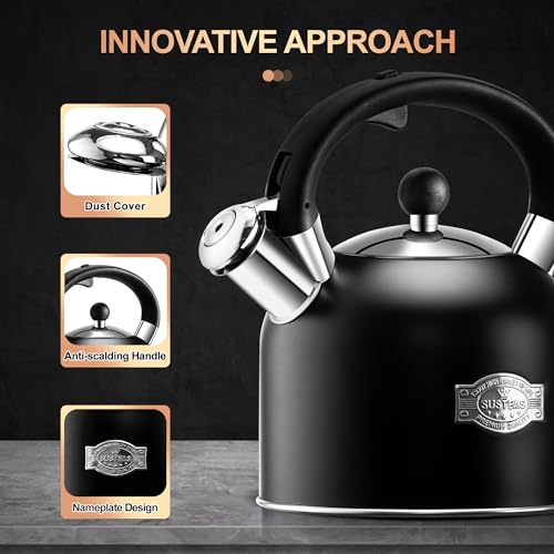 Tea Kettle 3.17QT Stainless Steel Whistling Tea Pot
