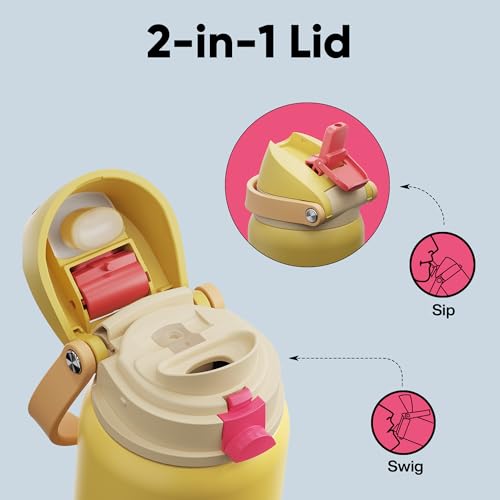 Insulated Water Bottle with Straw