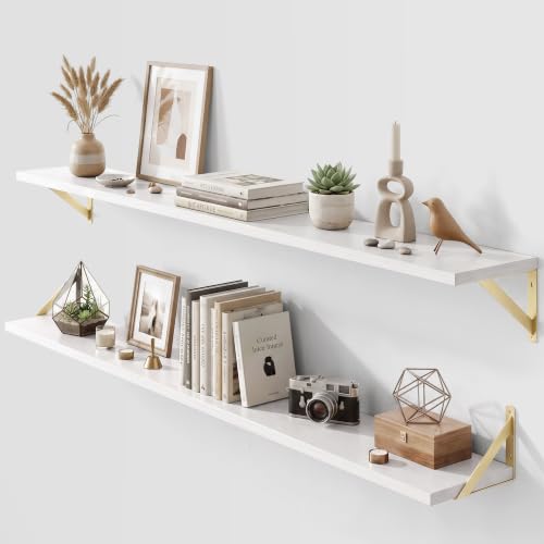 Wall Mounted Floating Shelves Set of 2 (2 Count)