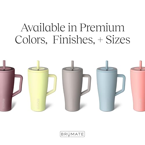 Era 30 oz Tumbler with Handle and Straw