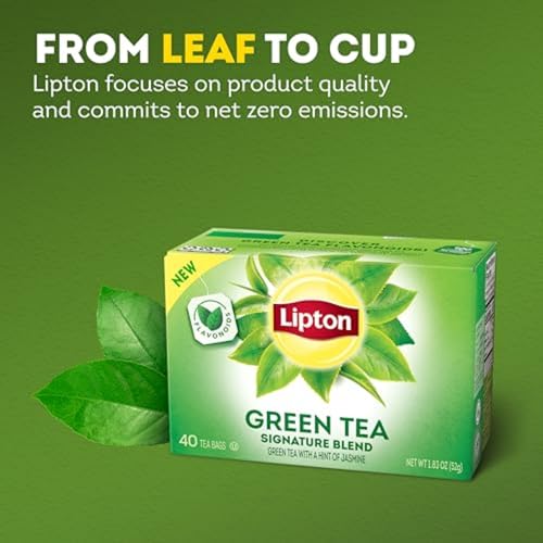 Signature Blend Green Tea with Jasmine 240 (240 Count)