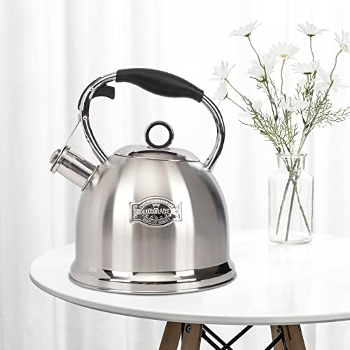 Tea Kettle for Stovetop