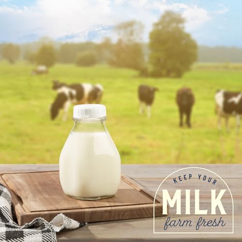 16 Oz Glass Milk Bottles with Lids (4 Count)