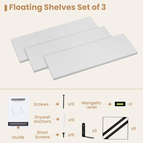 Floating Book Shelves for Wall (3 Count)