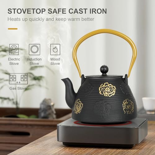 Cast Iron Teapot with Stainless Infuser Enameled Interior 40oz