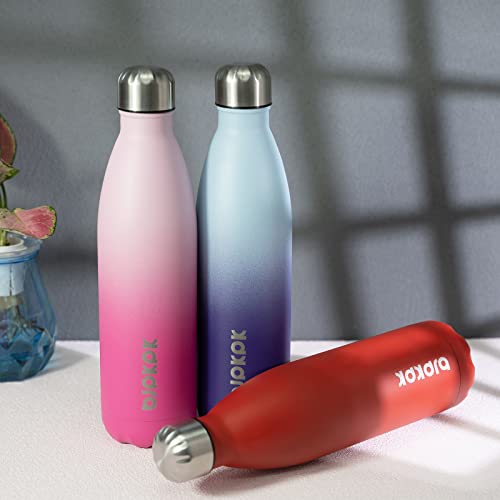 25 oz Insulated Water Bottle