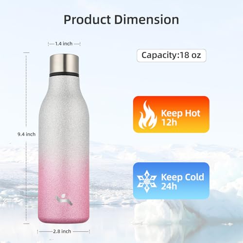 18 oz Insulated Stainless Steel Metal Water Bottle with Strap