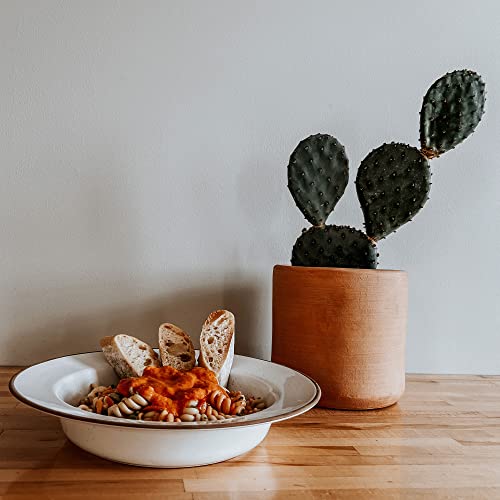 Ceramic Wide Rimmed Soup Bowl 25oz