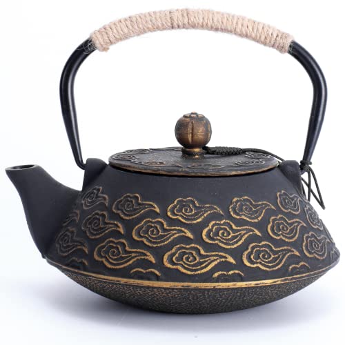 Cast Iron Teapot