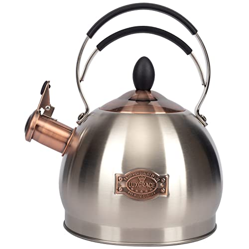 Whistling Tea Kettle Stainless Steel Teapot