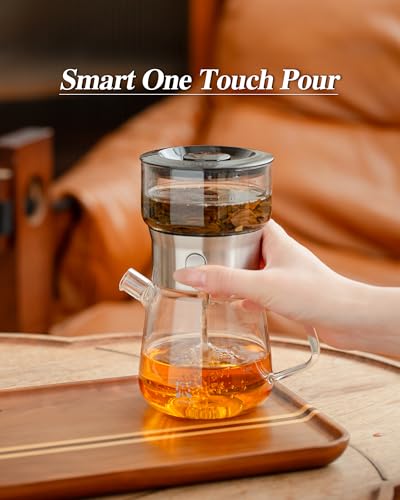 Modern Glass Infuser Pot Set with 2 Cups