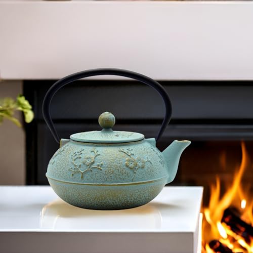 30.4oz Small Cast Iron Tea Kettle