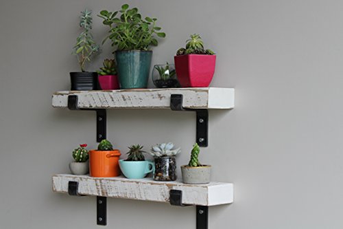 Accent Shelves (2 Count)