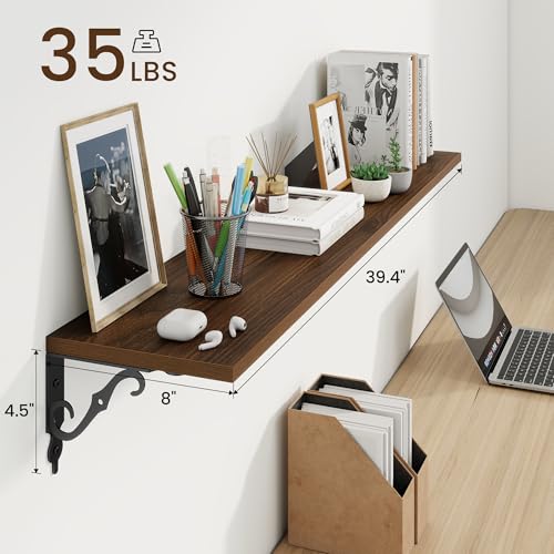 Floating Shelves for Wall Decor (2 Count)