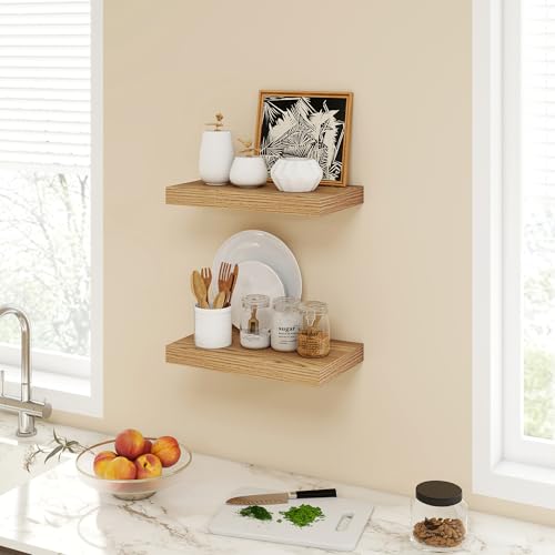 16 Inch Floating Shelves (2 Count)