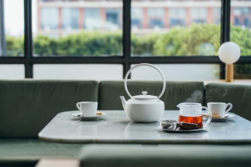MoonKettle Electric Kettle with Temp Control