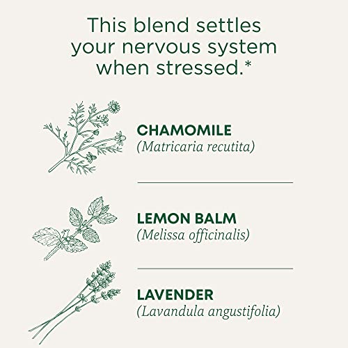 Organic Chamomile & Lavender (48 Count)