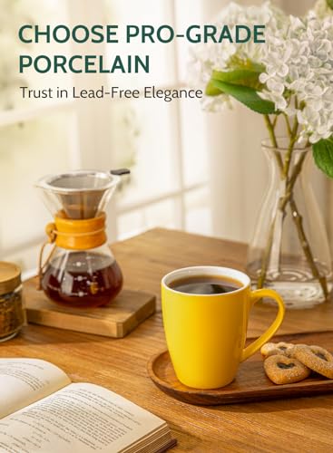 Porcelain Mugs (6 Count)