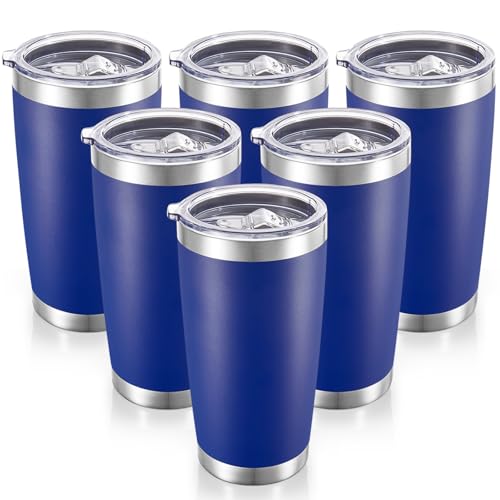 20 oz Tumblers Bulk Stainless Steel Tumbler with Lid (6 Count)