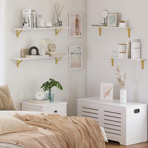 Long Wall Shelves (4 Count)