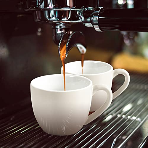 Mini Porcelain Espresso Cup (6 Count)