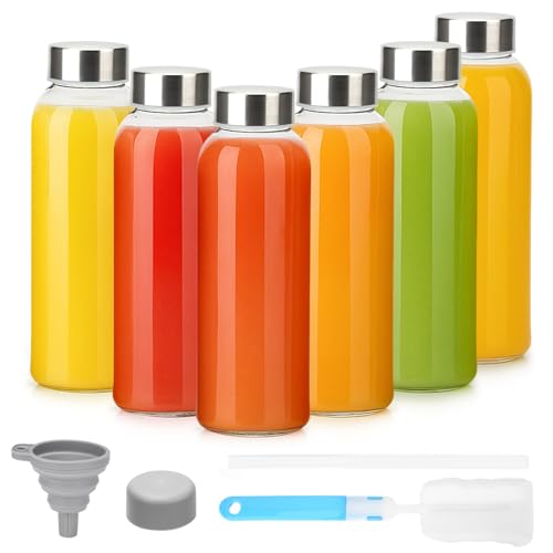 10 oz Glass Juice Bottles