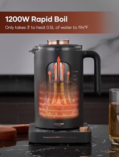 Electric Tea Kettle with Infuser