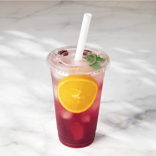 9" Boba Straws (1600 Count)