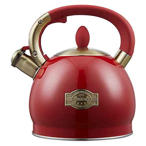 Tea Kettle 2.8 Quart Tea Kettles Stovetop Whistling Teapot Stainless Steel Tea Pots for Stove Top Whistle Tea Pot