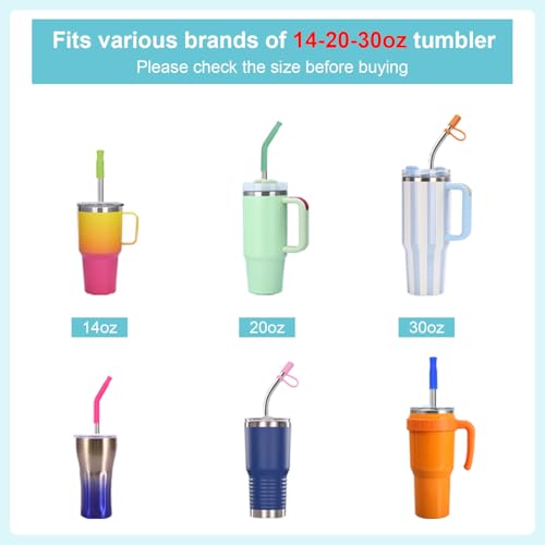 Reusable Stainless Steel Straws Set 6 PCS with 6 Silicone Tips (6 Count)