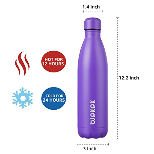 25 oz Insulated Water Bottle