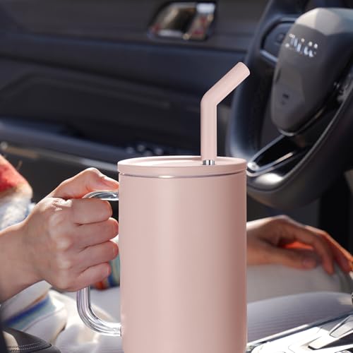 6 Pack Metal Straws with Silicone Tip Fit for Stanley 14 (6 Count)