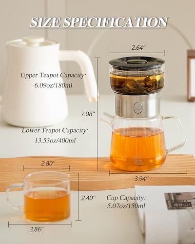 Modern Glass Infuser Pot Set with 2 Cups