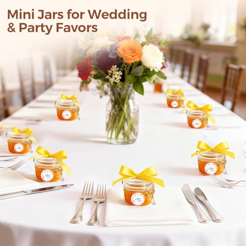 Small Mason Glass Jars with Airtight Lids 4 oz 6 Pack Pantry (6 Count)