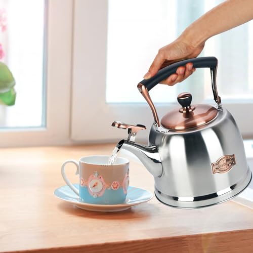 Tea Kettle Stainless Steel Teapot