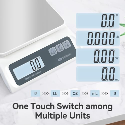 13lb 0.1g Precision Digital Food Scale