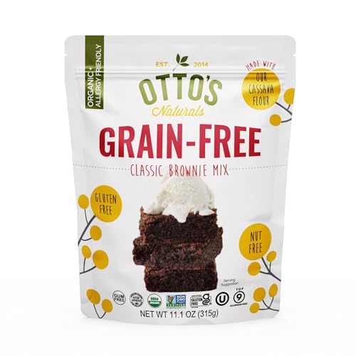 Grain Free Classic Brownie Mix (11.1 Ounce)