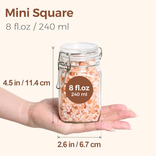 Square Glass Spice Jars 8 oz 6 Pack with Labels and Funnel Set (6 Count)