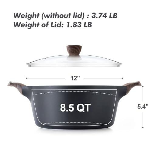 Nonstick Stock Pot with Lid